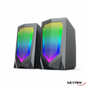 PARLANTES 2.0 NETMAK NM-N10