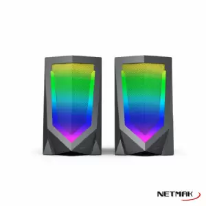 PARLANTES 2.0 NETMAK NM-N10